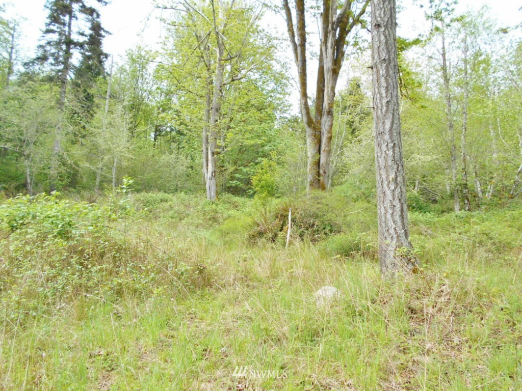 0 Lakenes Road Quilcene, WA 98376 - Photo 13 of 15