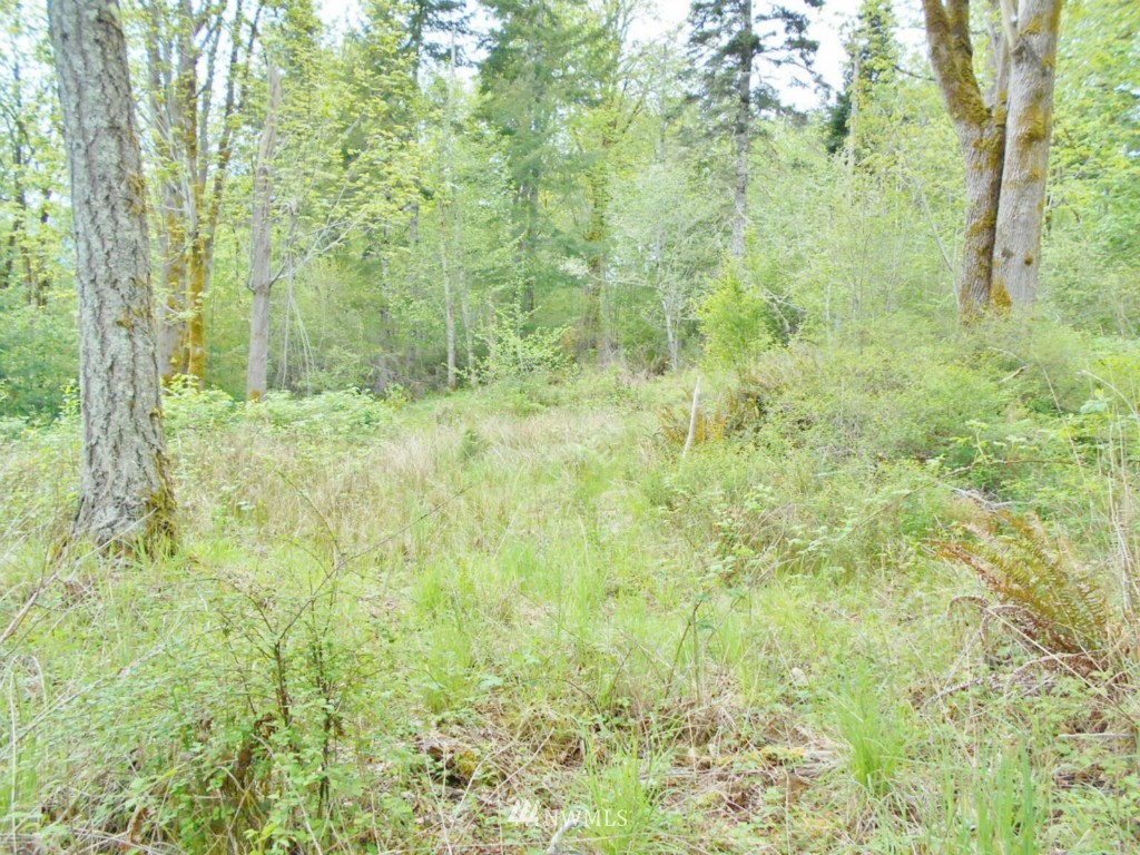0 Lakenes Road Quilcene, WA 98376 - Photo 14 of 15