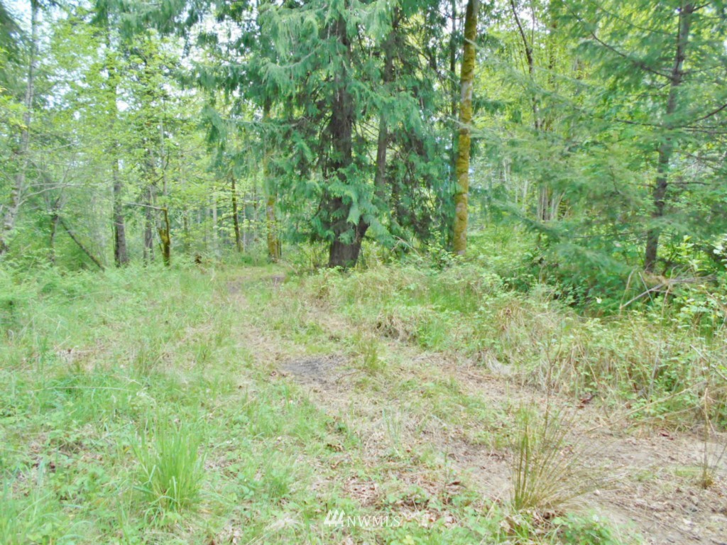 0 Lakenes Road Quilcene, WA 98376 - Photo 15 of 15