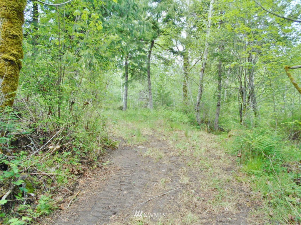 0 Lakenes Road Quilcene, WA 98376 - Photo 3 of 15