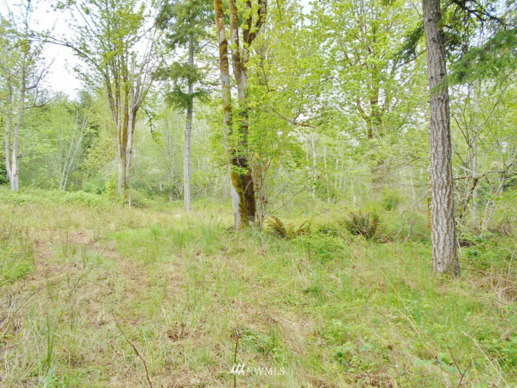 0 Lakenes Road Quilcene, WA 98376 - Photo 5 of 15
