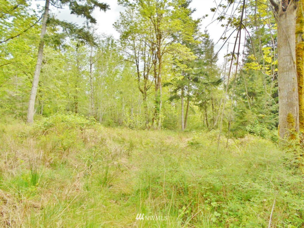 0 Lakenes Road Quilcene, WA 98376 - Photo 9 of 15