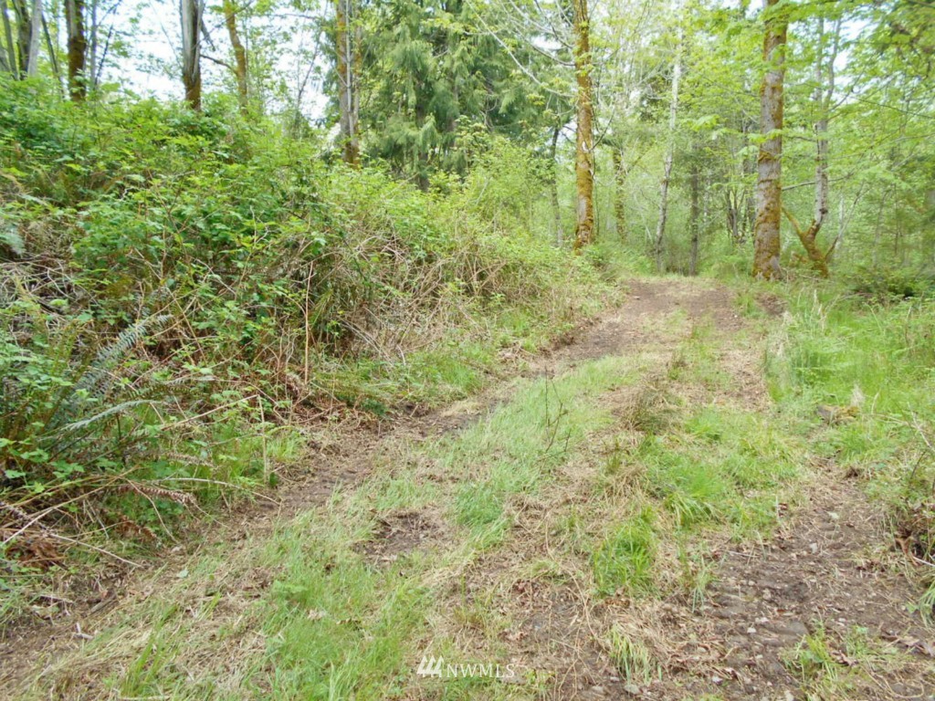 0 Lakenes Road Quilcene, WA 98376 - Photo 10 of 15