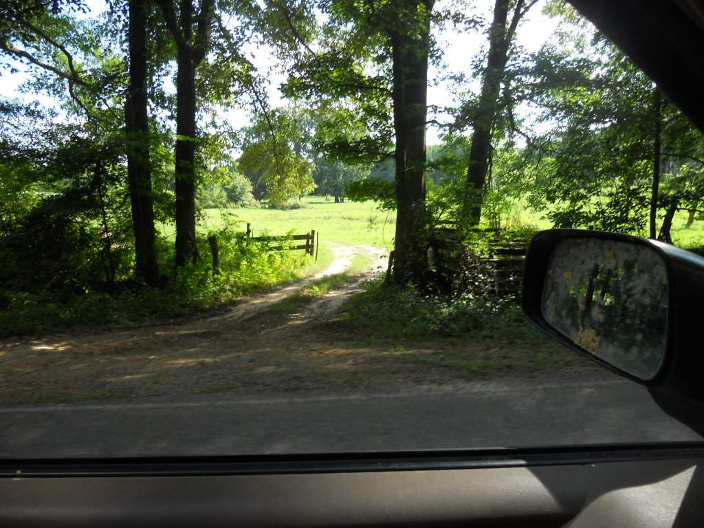 0 Morton Marathon Road Forest, MS 39074 - Photo 2 of 9 Photo 2