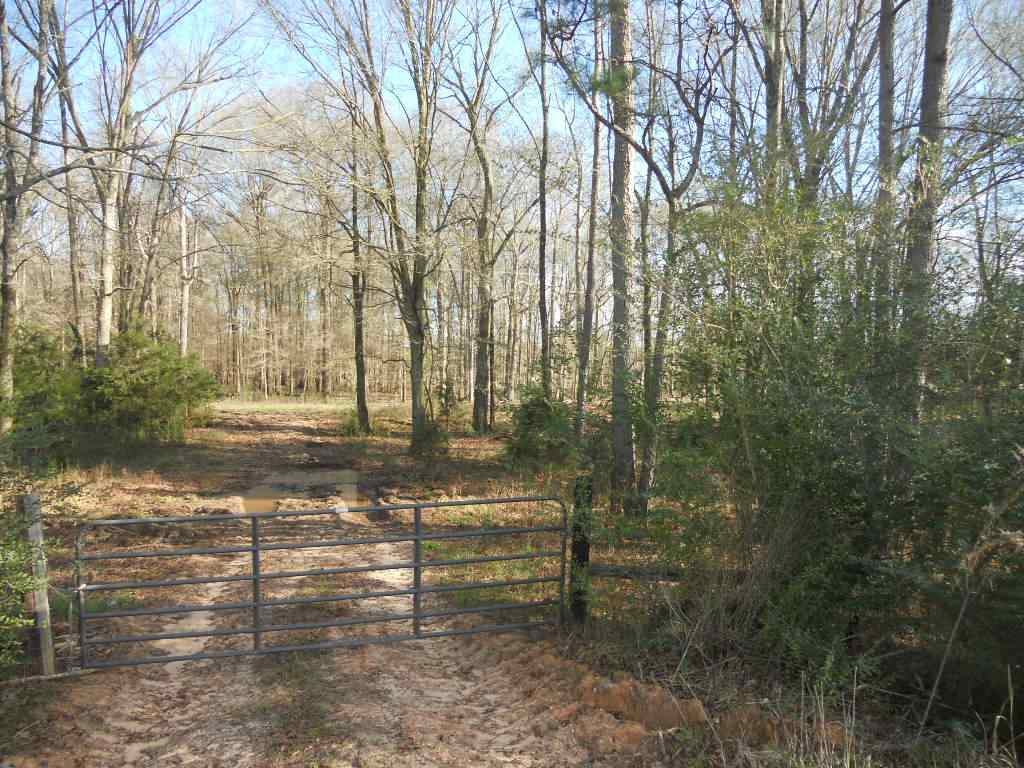0 Morton Marathon Road Forest, MS 39074 - Photo 3 of 9 Photo 3