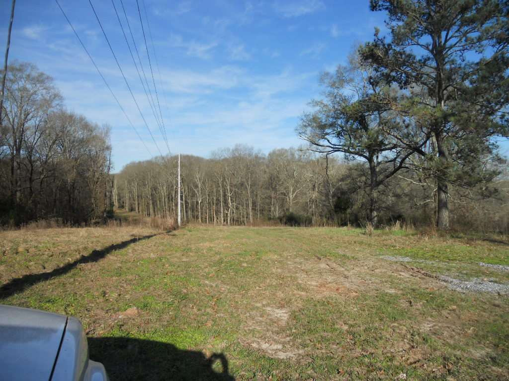 0 Morton Marathon Road Forest, MS 39074 - Photo 4 of 9 Photo 4