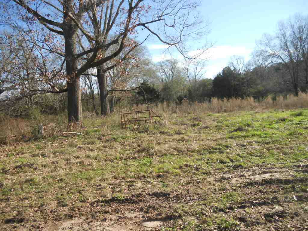 0 Morton Marathon Road Forest, MS 39074 - Photo 8 of 9 Photo 9