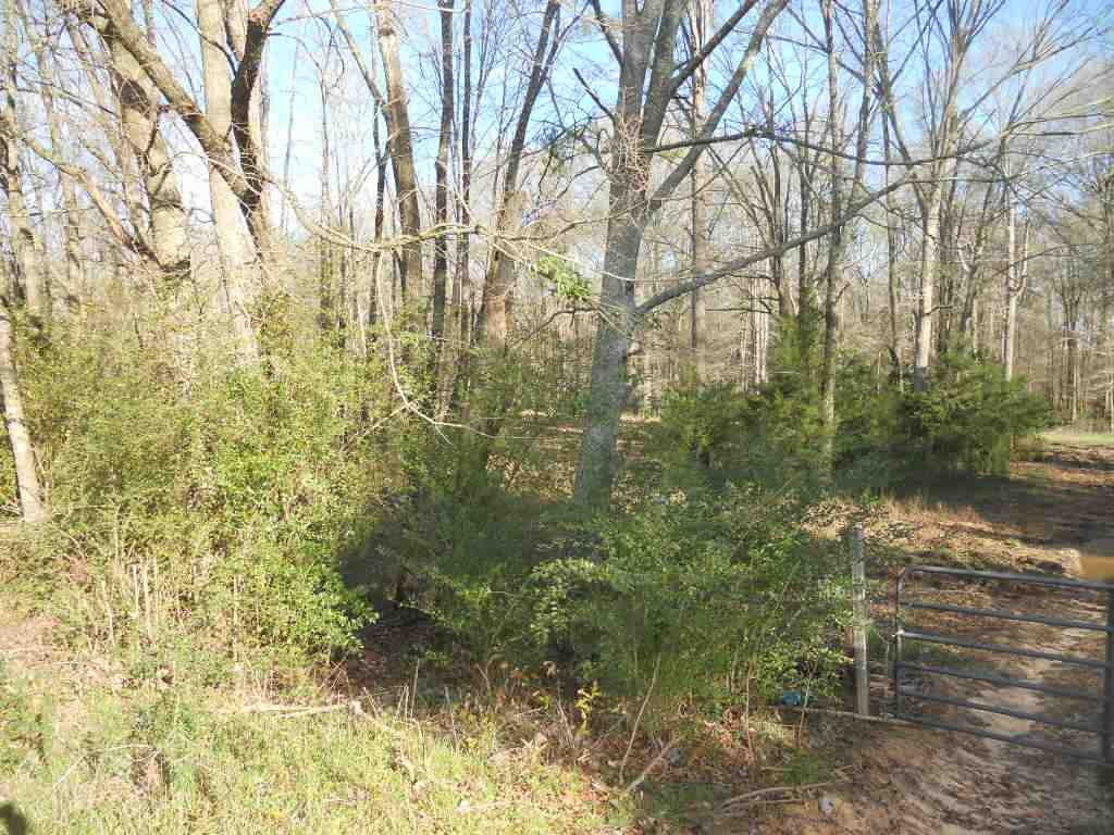 0 Morton Marathon Road Forest, MS 39074 - Photo 9 of 9 Photo 11