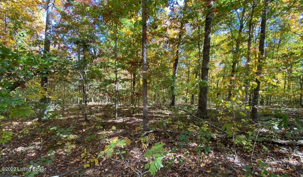 L34 Ted Logsdon Road Clarkson, KY 42726 - Photo 5 of 18 River View Fall143