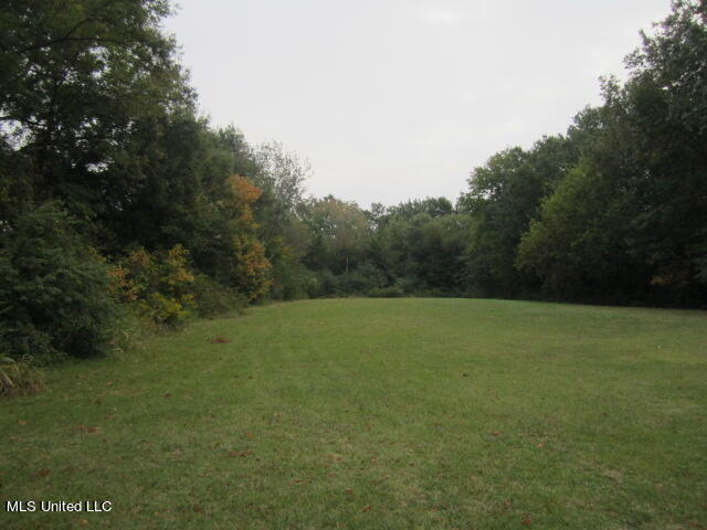 45 A Us Hwy Point West Point, MS 39773 - Photo 2 of 8 IMG_6310