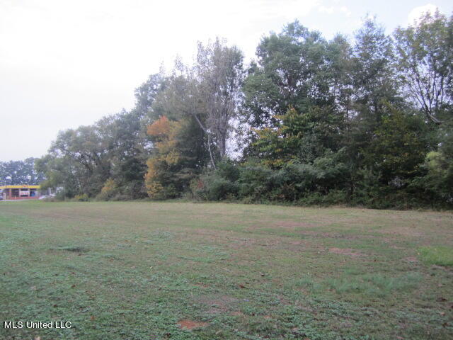 45 A Us Hwy Point West Point, MS 39773 - Photo 6 of 8 IMG_6314