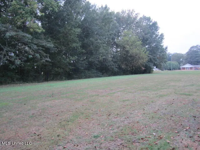 $142,000 | 45 A Us Hwy Point, West Point, MS 39773