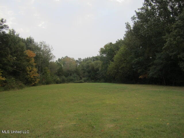 45 A Us Hwy Point West Point, MS 39773 - Photo 8 of 8 IMG_6316