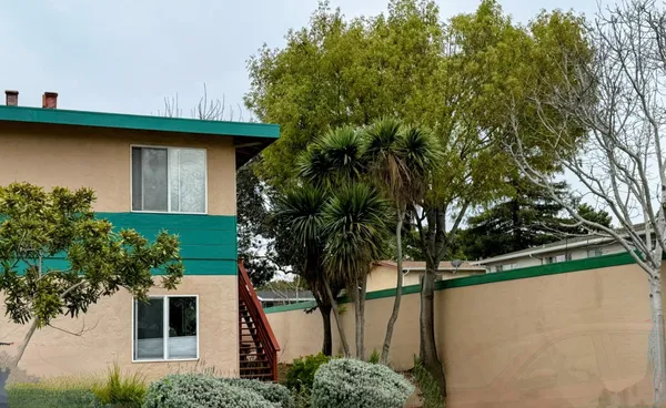 a view of outdoor space and yard