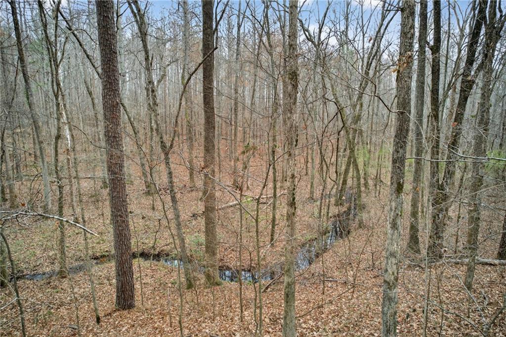 645 Davis Road Hiram, GA 30141 - Photo 29 of 30 a view of a yard