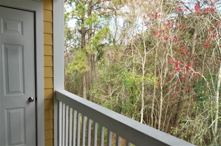 1932 Chatelain Way Mount Pleasant, SC 29464 - Photo 8 of 23 20190227181847763479000000-o