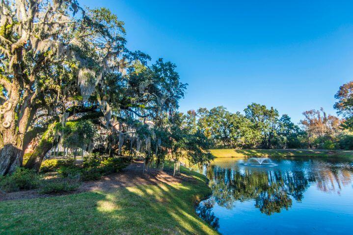 1932 Chatelain Way Mount Pleasant, SC 29464 - Photo 10 of 23 20190111131354939663000000-o