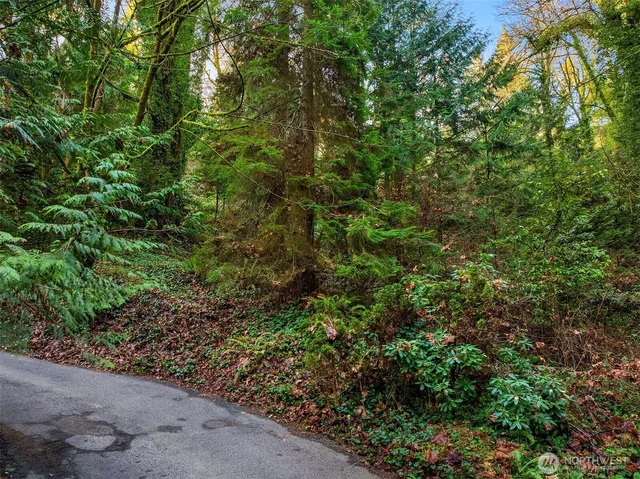 a view of a garden with plants