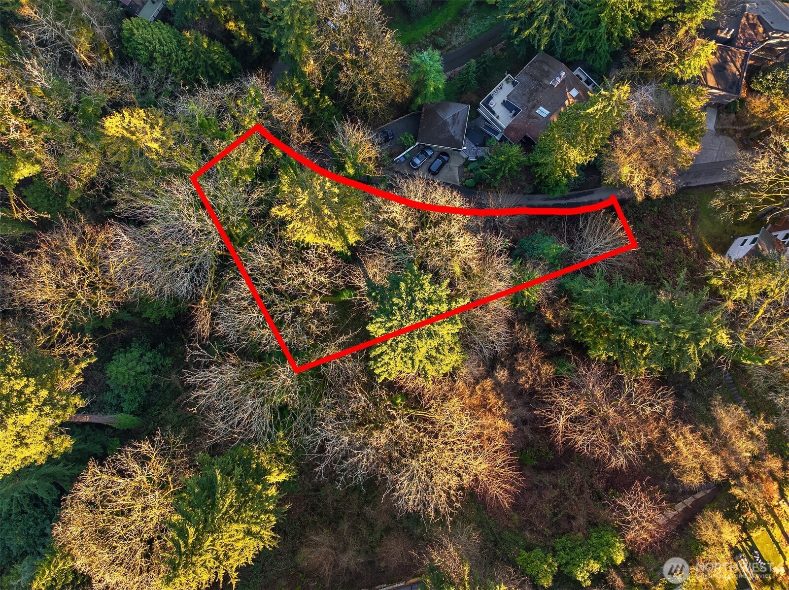 43 Fernbrook Drive Mercer Island, WA 98040 - Photo 7 of 12