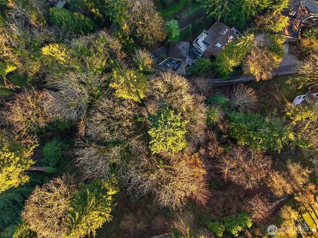 a view of a city with ocean view