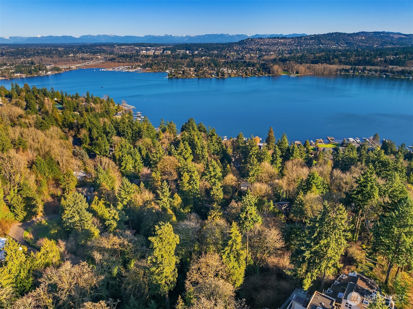 43 Fernbrook Drive Mercer Island, WA 98040 - Photo 9 of 12