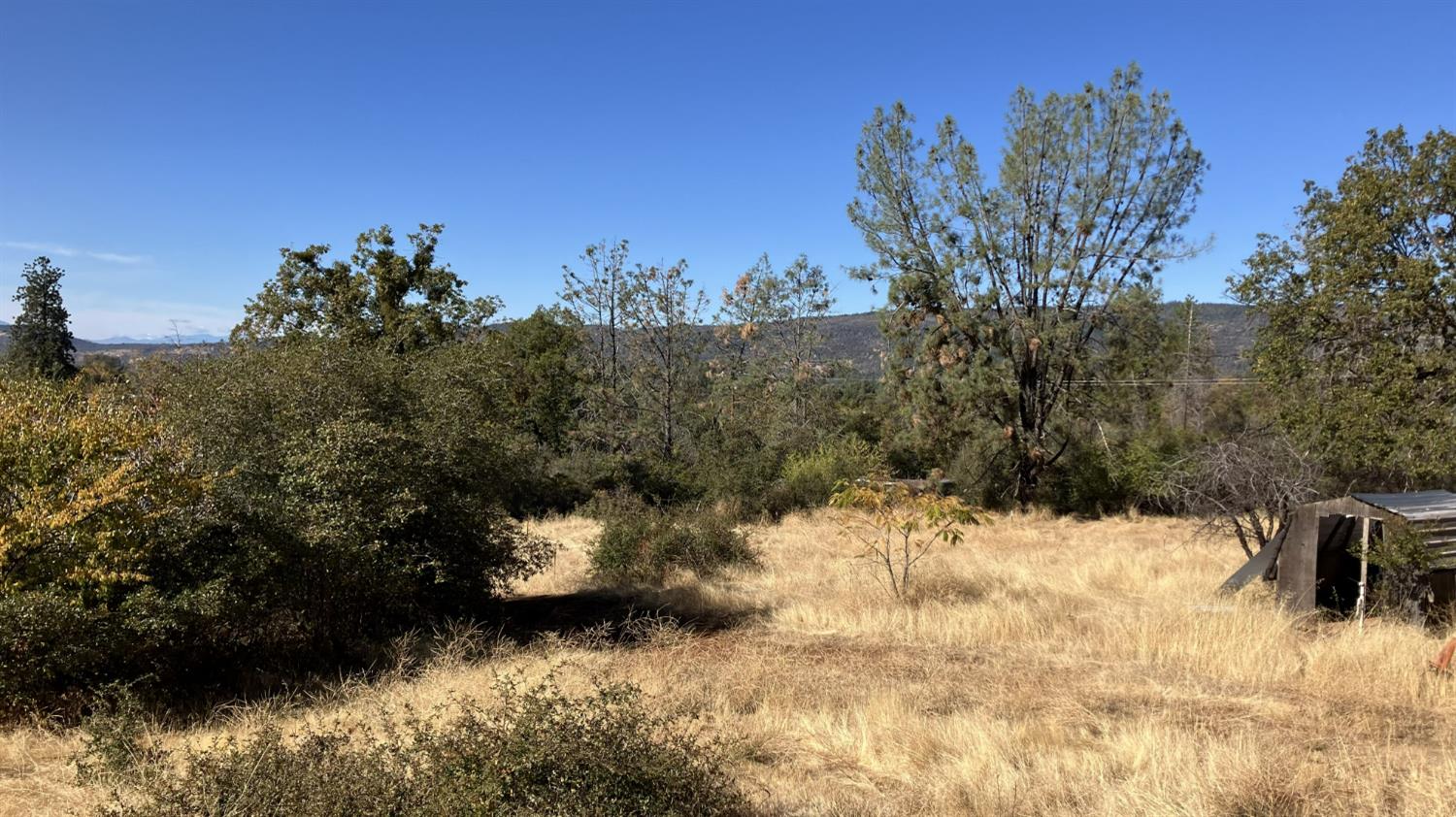 21665 Manton School Road Manton, CA 96059 - Photo 28 of 30 a view of a yard with a tree