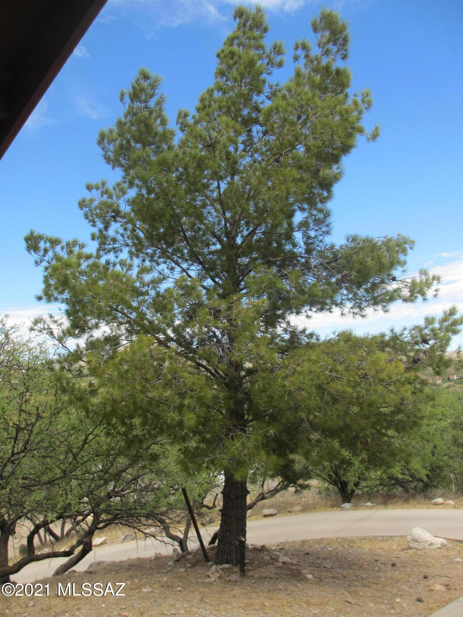 976 Calle Amarillo Rio Rico, AZ 85648 - Photo 21 of 38