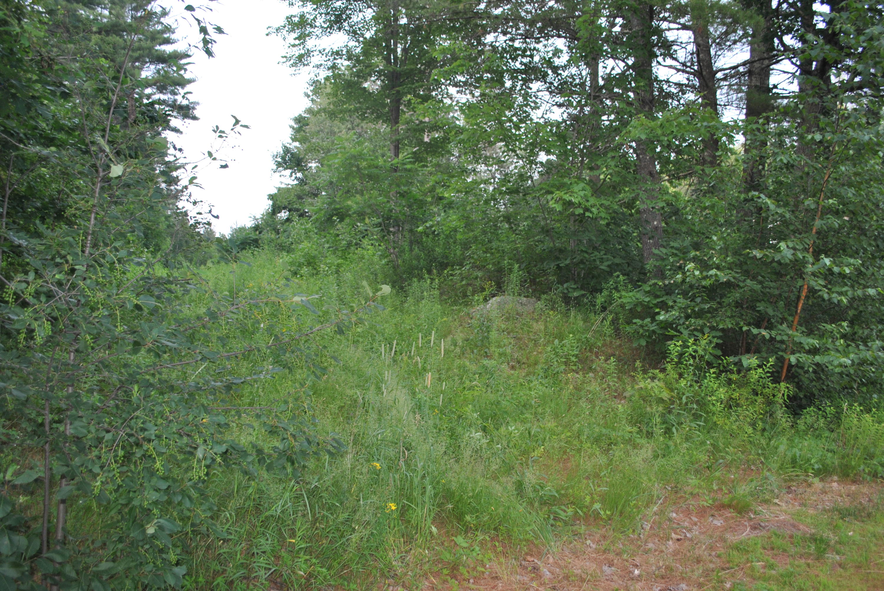 25 Webster Road Gorham, ME 04038 - Photo 4 of 4 DSC_2077