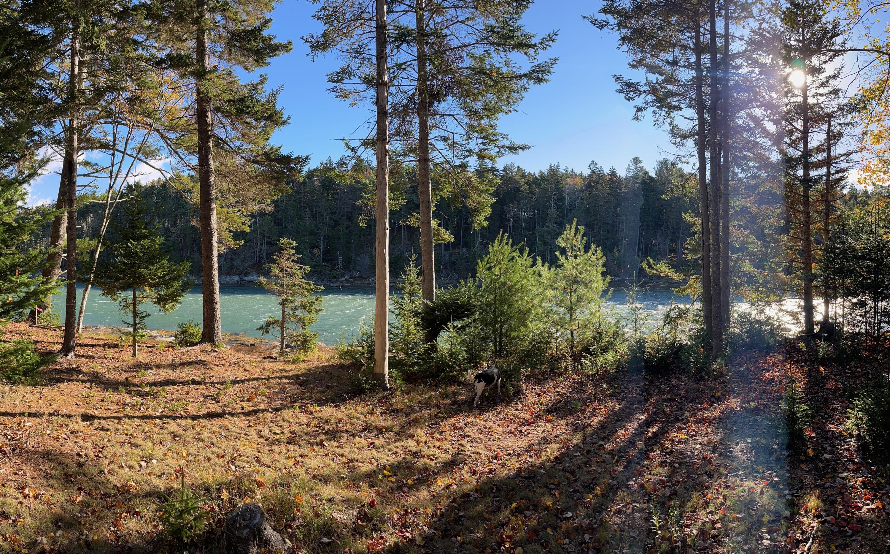 M217-l074 Kallio Cove Road Tenants Harbor, ME 04860 - Photo 11 of 16 View from lot