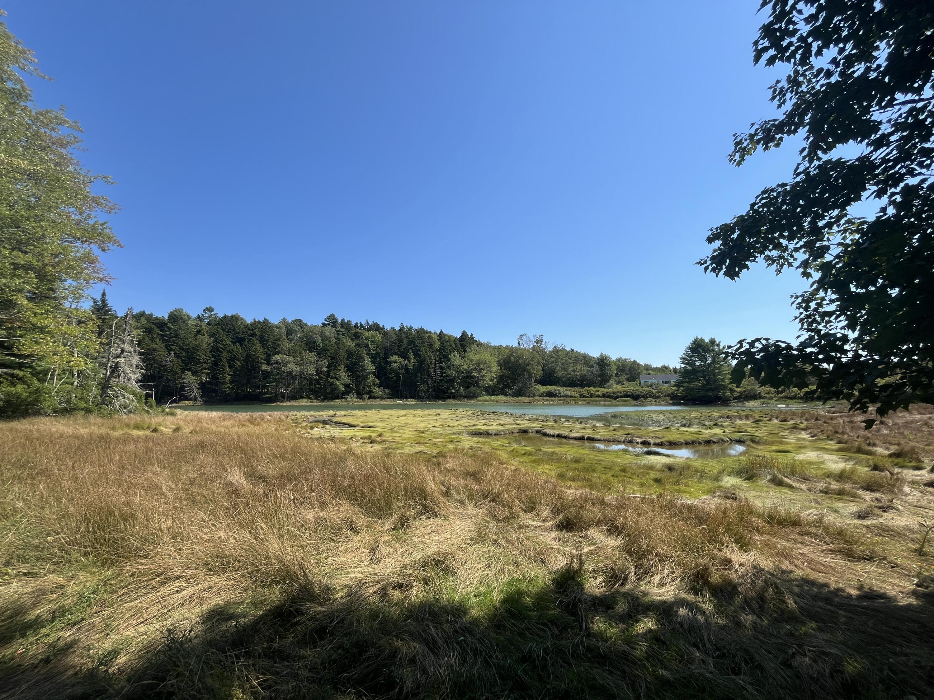 M217-l074 Kallio Cove Road Tenants Harbor, ME 04860 - Photo 12 of 16 View of southerly end of lot