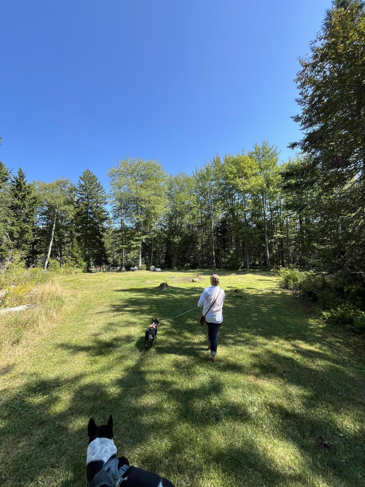 M217-l074 Kallio Cove Road Tenants Harbor, ME 04860 - Photo 16 of 16 IMG_1281