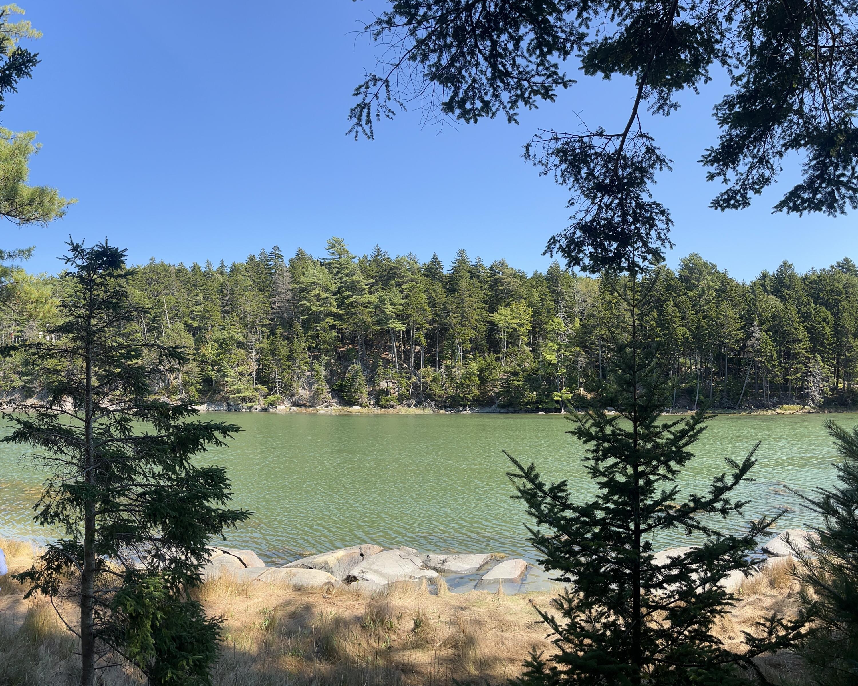 M217-l074 Kallio Cove Road Tenants Harbor, ME 04860 - Photo 4 of 16 View of Cove from lot