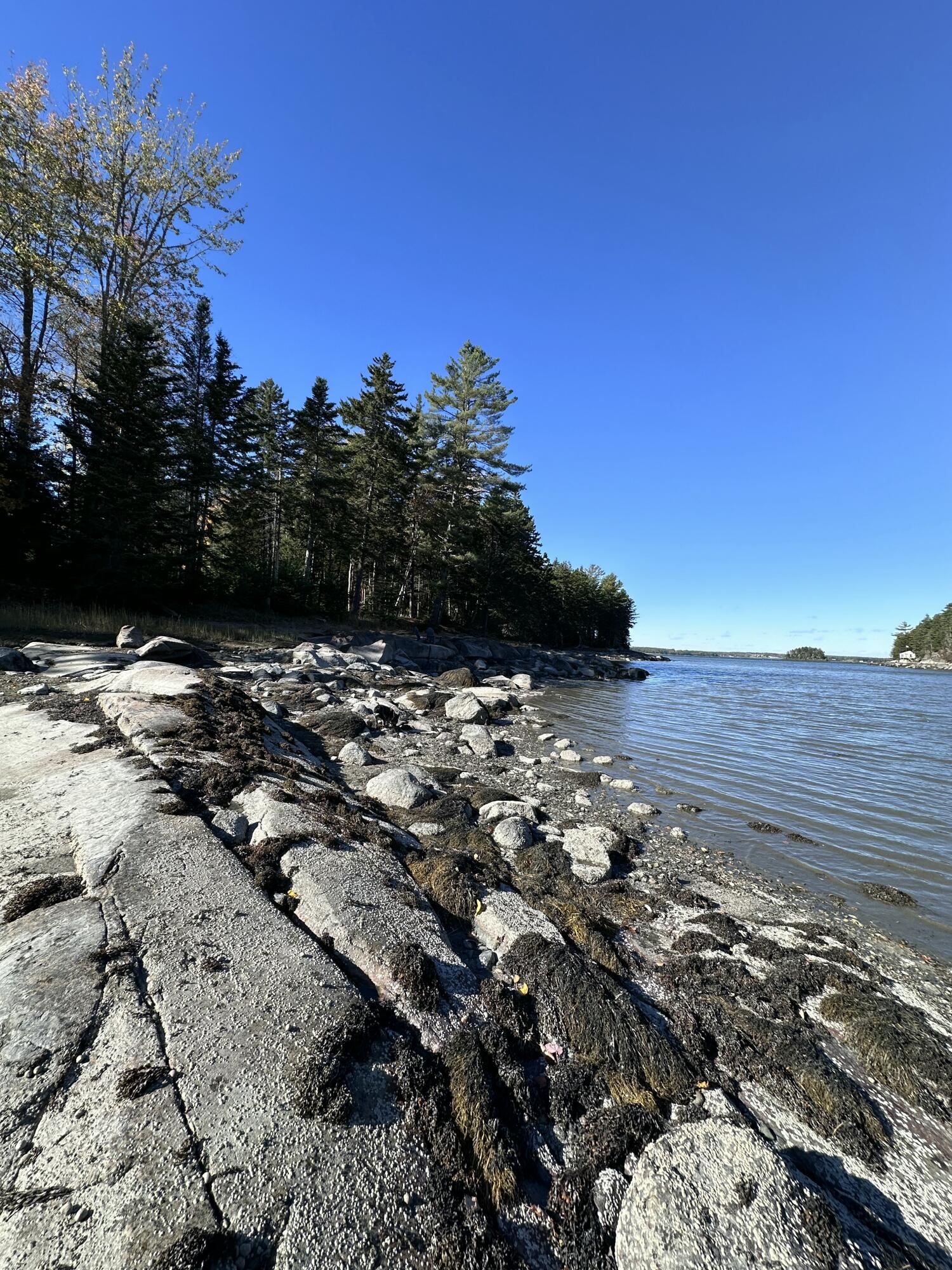 M217-l074 Kallio Cove Road Tenants Harbor, ME 04860 - Photo 6 of 16 Shoreline view of cove