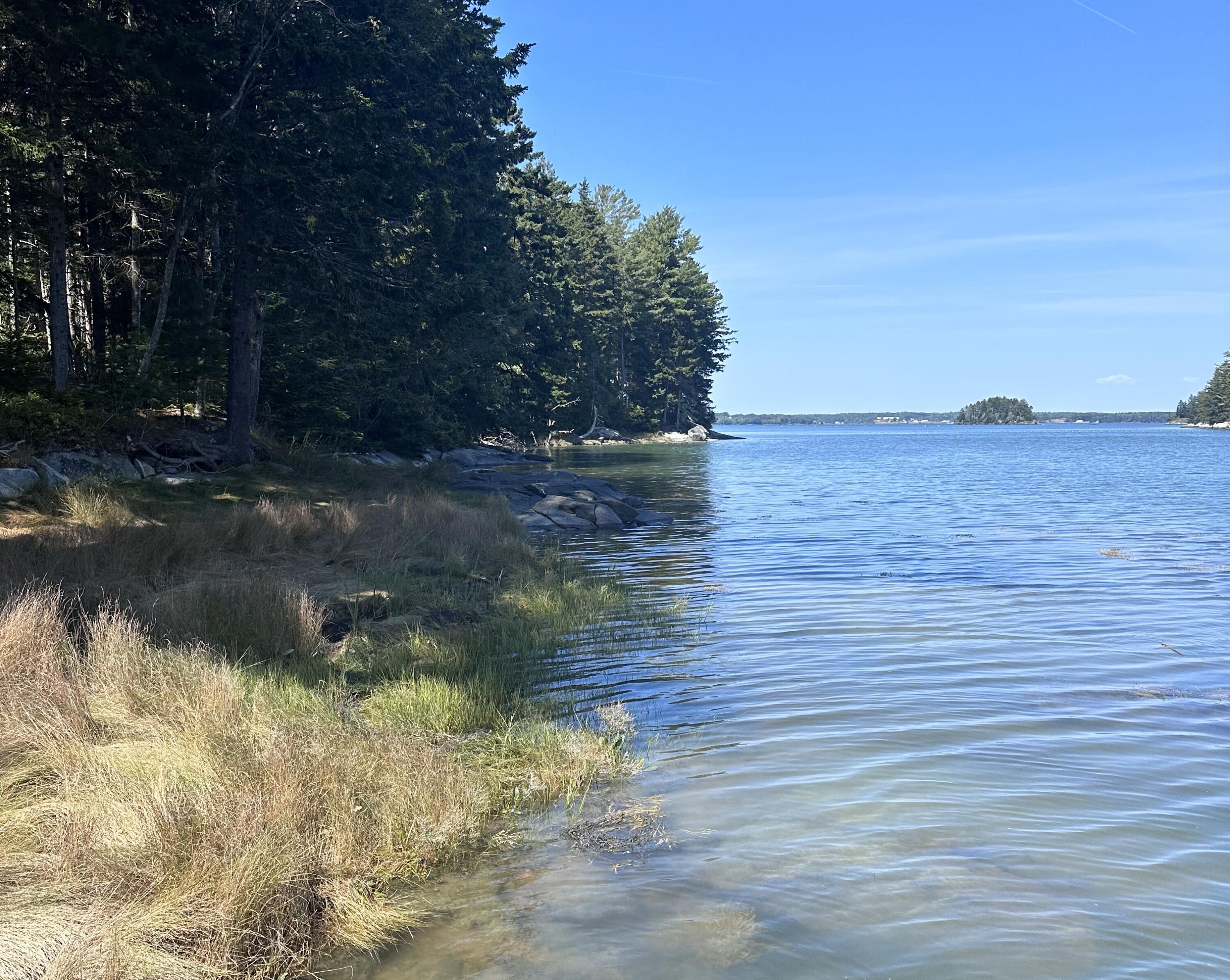 M217-l074 Kallio Cove Road Tenants Harbor, ME 04860 - Photo 8 of 16 Shoreline view of cove high tide