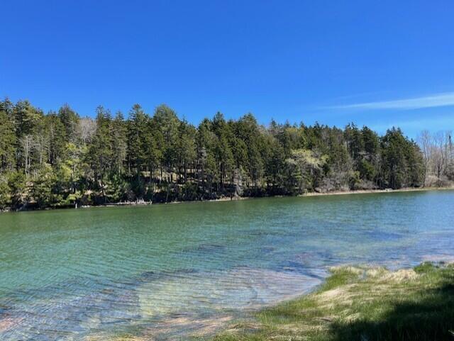 M217-l074 Kallio Cove Road Tenants Harbor, ME 04860 - Photo 10 of 16 View across cove