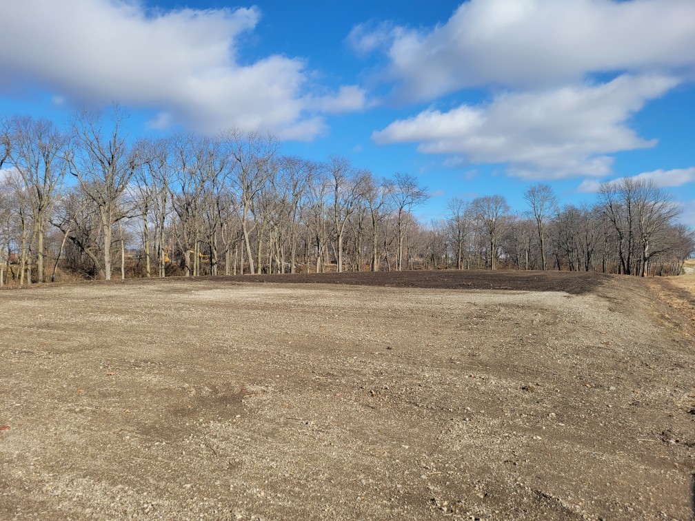 a view of dirt field with trees