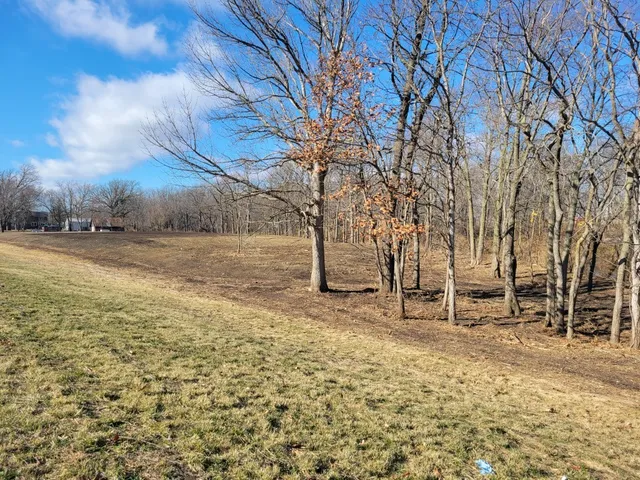 a view of road with large trees