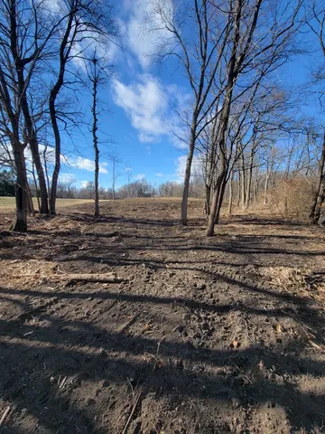a view of dirt yard with a large tree