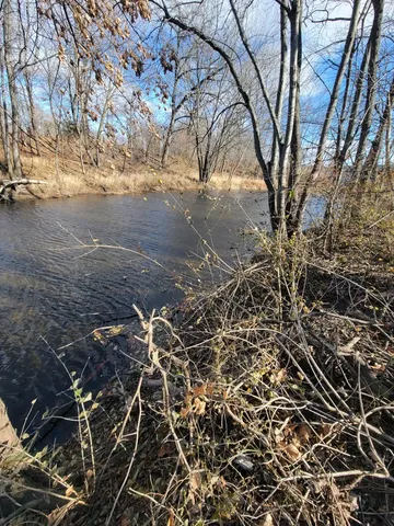 a view of a yard with an trees