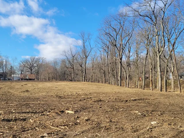 a big yard with lots of trees