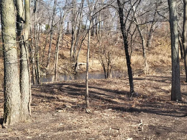 a view of a yard with trees