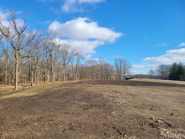 a view of dirt yard with large trees