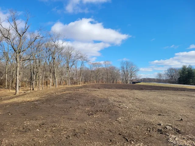a view of dirt yard with large trees