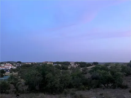 a view of a city with lush green forest