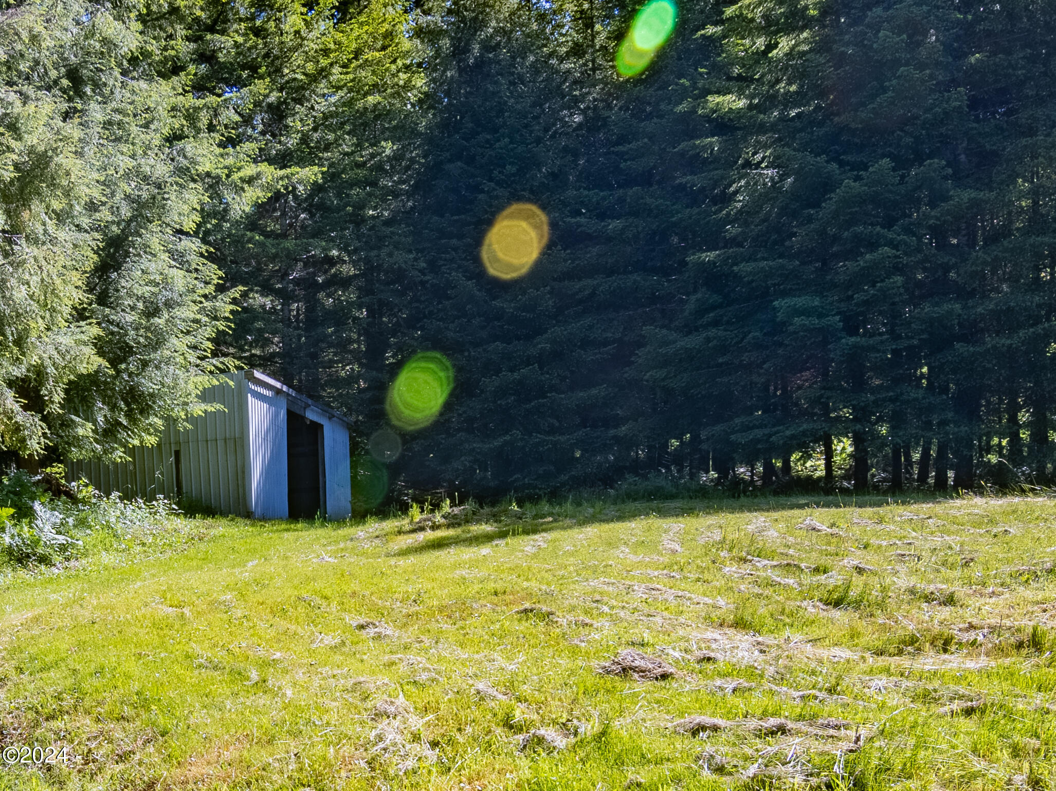 909 Christiansen Road Toledo, OR 97391 - Photo 9 of 43 Shed