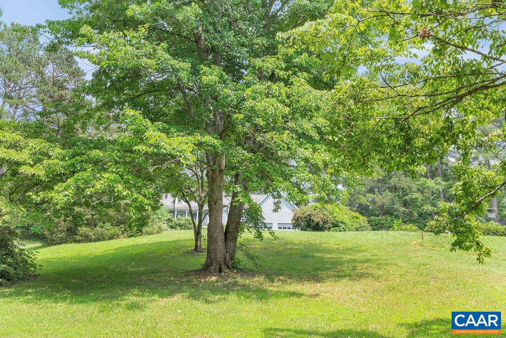 454 Pine Bluff Road Ruckersville, VA 22968 - Photo 50 of 69 a view of a yard with a tree
