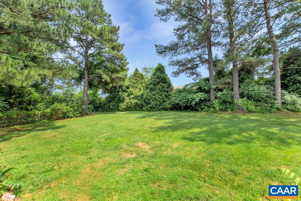 454 Pine Bluff Road Ruckersville, VA 22968 - Photo 51 of 69 a view of a yard with a tree