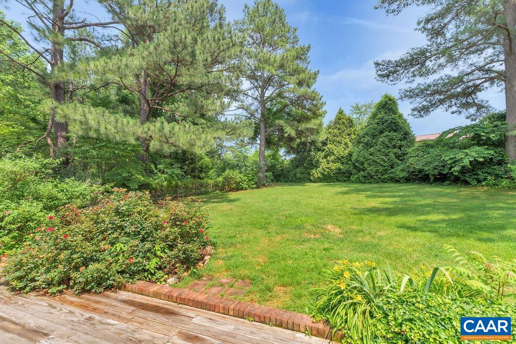 454 Pine Bluff Road Ruckersville, VA 22968 - Photo 67 of 69 a view of yard with green space