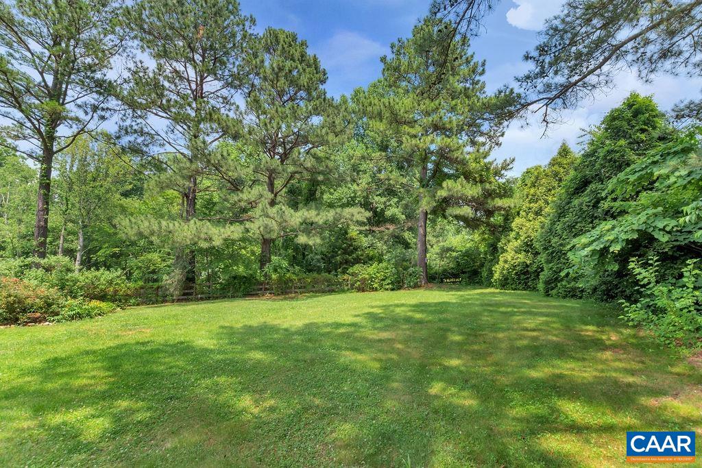 454 Pine Bluff Road Ruckersville, VA 22968 - Photo 68 of 69 a view of a grassy field with trees