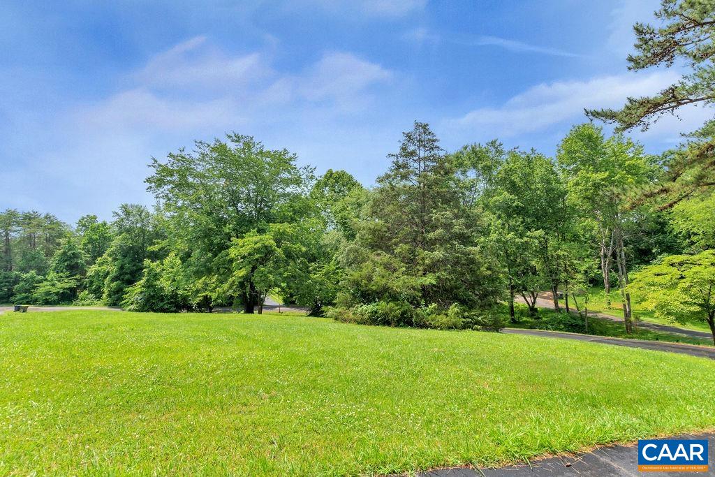 454 Pine Bluff Road Ruckersville, VA 22968 - Photo 69 of 69 a view of a grassy field with trees